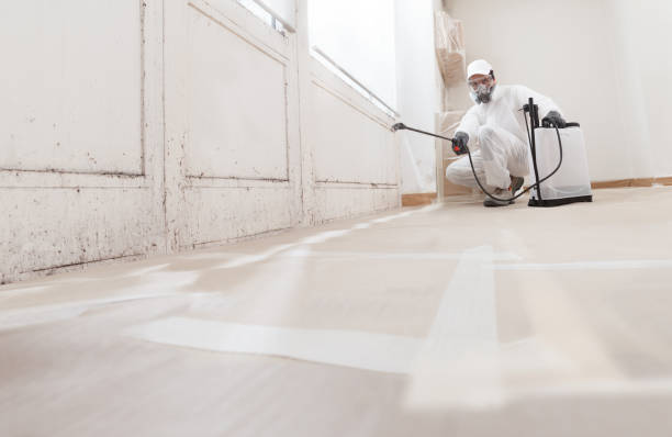 24/7 Emergency Attic Mold Removal experts in Lawrenceville, VA