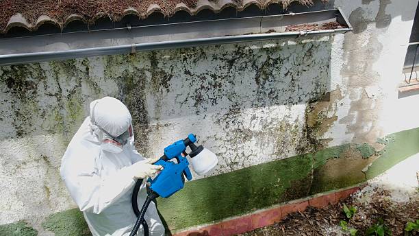 Trusted Attic Mold Removal service in Lawrenceville, VA - Cheap Mold Removal
